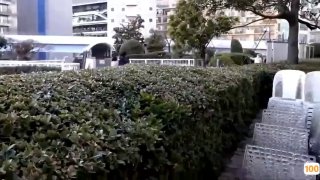 你懂的视频在线观看 色。色。色。com 色。色。色。com...